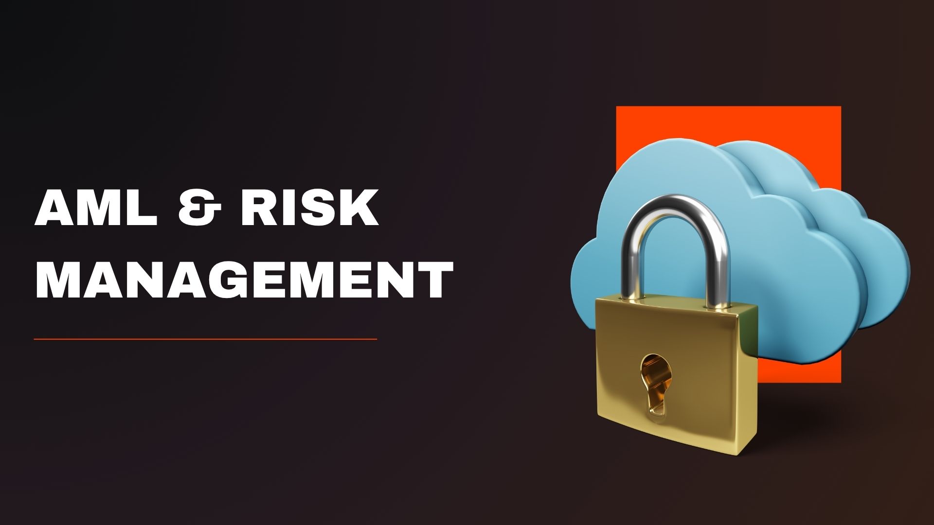 AML and Risk Management