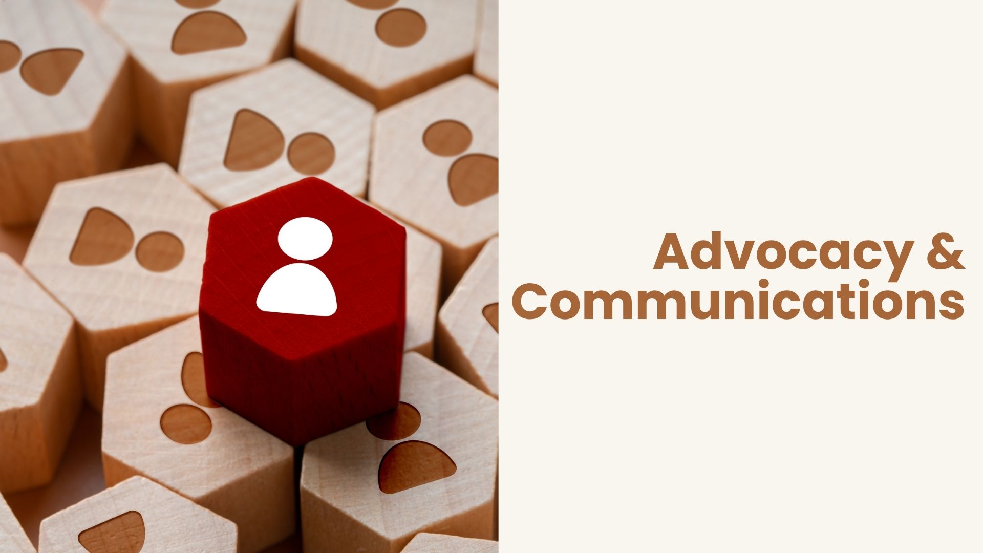 Advocacy and Dispute Resolution