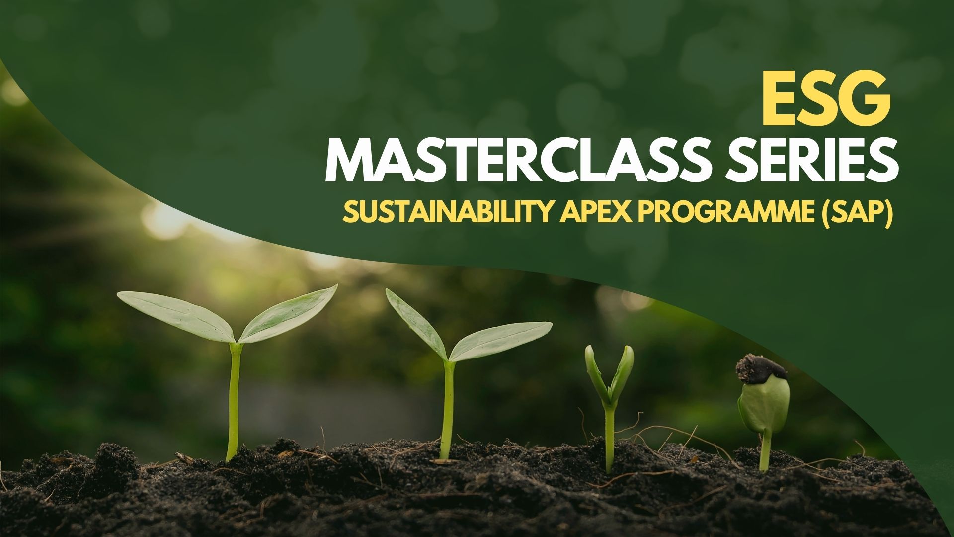ESG and Sustainability
